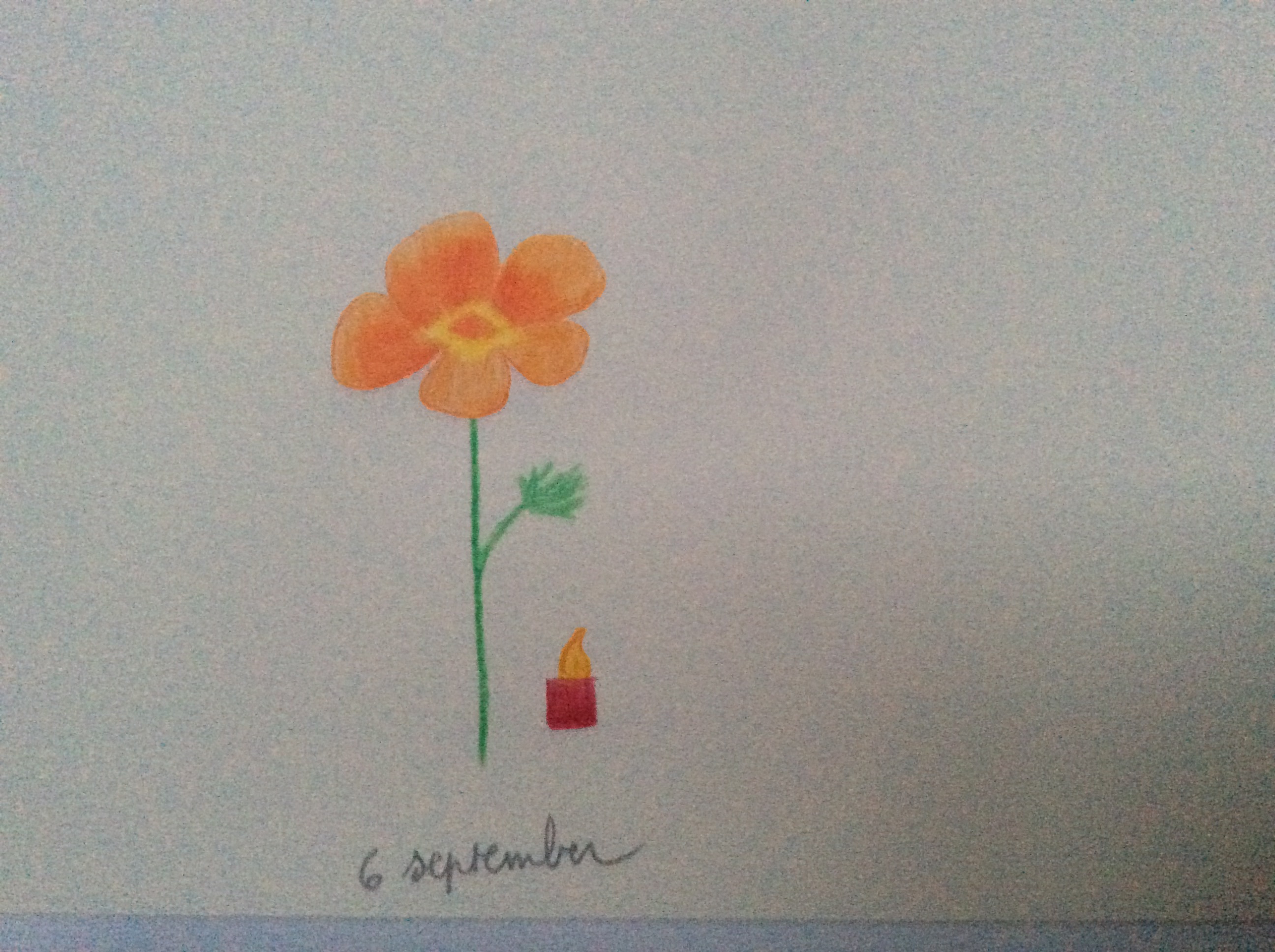 bloem